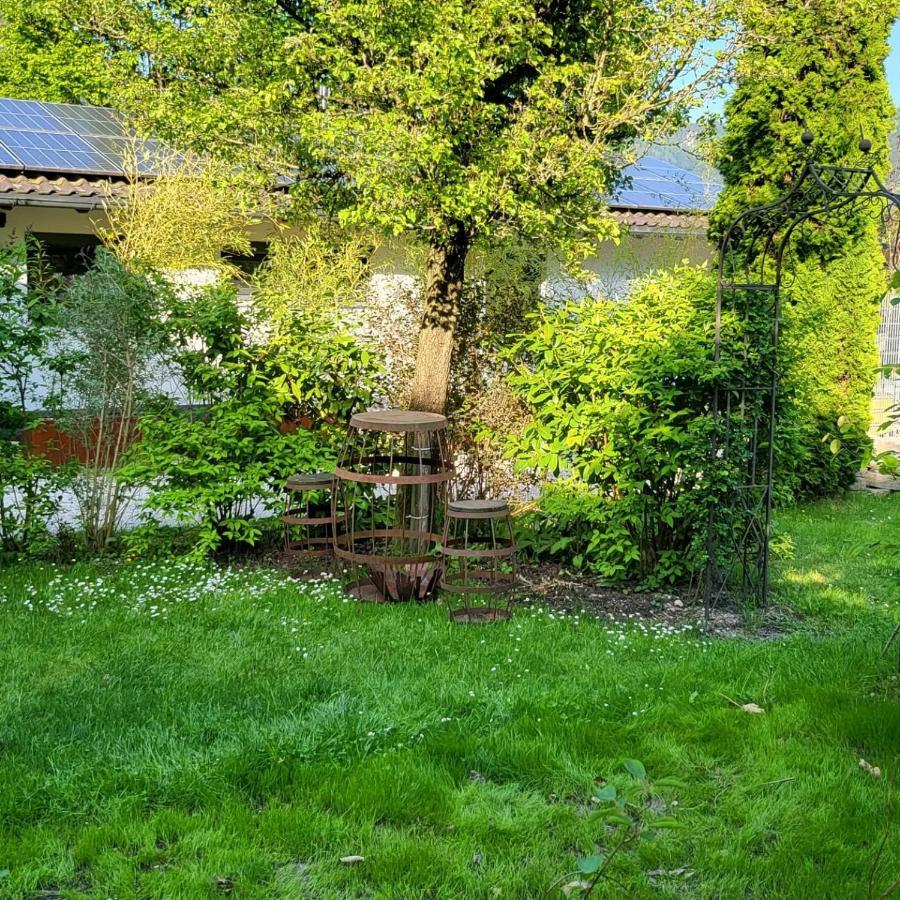 Ferienwohnungen Beim Silbergersee 오베라우도프 외부 사진
